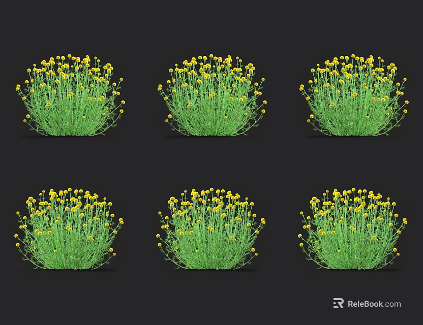 Vibrant Green Grass Plants With Small Yellow Flowers In Six Clusters On Black Background 3d model 