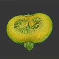 Fresh Sliced Pumpkin With Green Skin Showing Yellow Flesh And Seeds On Gray Surface