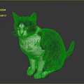 Blue and white cat sitting on dark background with bright yellow eyes
