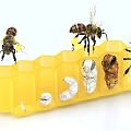 honeybee nest honey bee larva bee development process 3d model