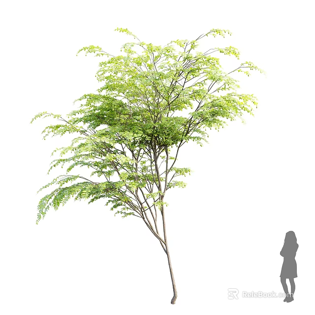 Lush Green Arbor With Dense Foliage And Human Silhouette For Scale 3d model 