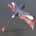 Alex Colorful Bird Ancient God Animal God Bird Parrot Wonder Bird Fantasy Bird Low Face Number Low Model Simple Model Game Movie Level Super Realistic 3d model