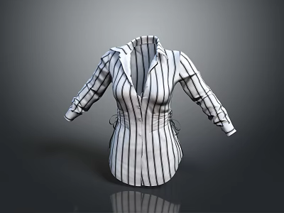 Modern Wardrobe With Clothing Storage And Shirt Organization Features Design 3d model