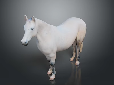 White Horse Statue In Standing Position With Realistic Coat And Hooves 3d model