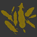 Diverse Reptile Group Featuring Lizards Snakes and Turtles on Green Background