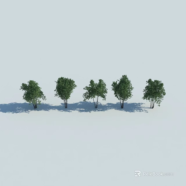 Five Green Leafy Shrubs Arranged In A Row With Shadows On White Background 3d model