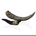 Natural Animal Horns Displaying Curved Shape Light And Dark Colors And Unique Textures