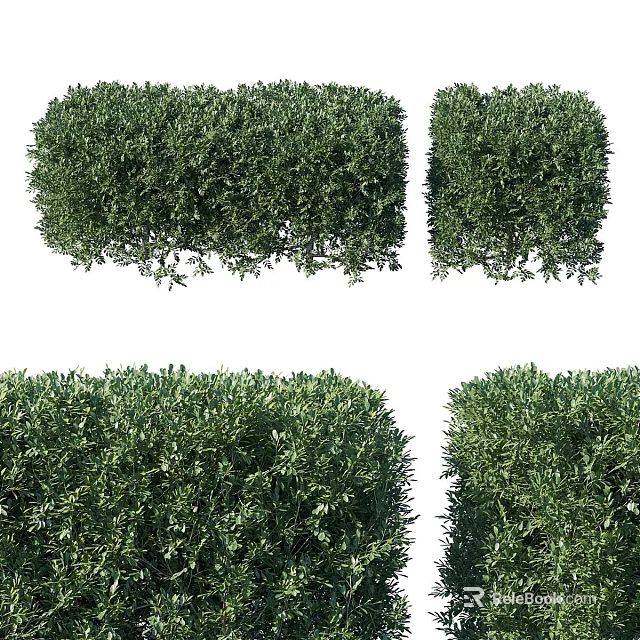 Lush Green Trimmed Garden Shrubs Adding Charm To Outdoor Garden Spaces 3d model 