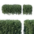 Lush Green Trimmed Garden Shrubs Adding Charm To Outdoor Garden Spaces