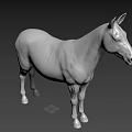 Zebra 3d model
