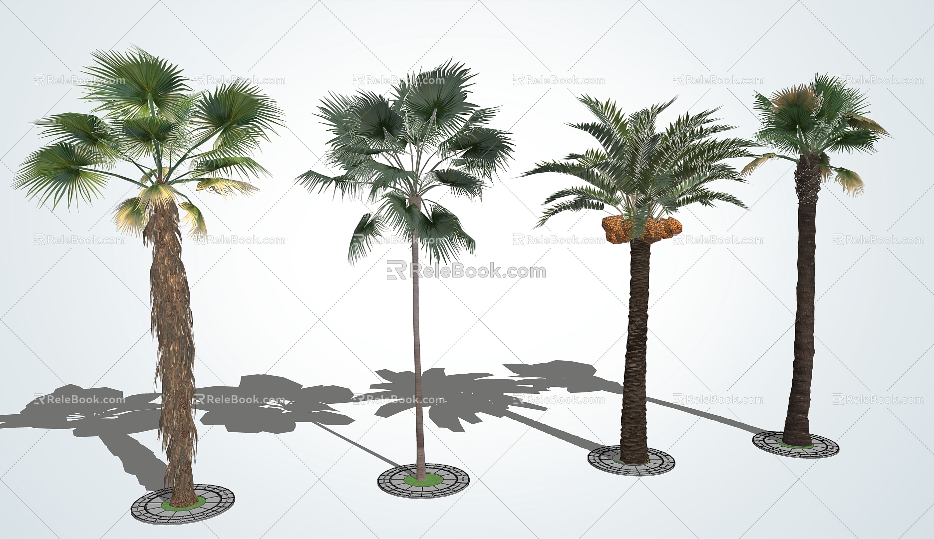 Modern Palm Tree Landscape Tree Palm 3d model