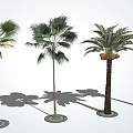 Modern Palm Tree Landscape Tree Palm 3d model