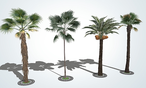 Modern Palm Tree Landscape Tree Palm 3d model