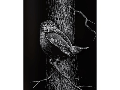 Owl Hanging Painting 18 model