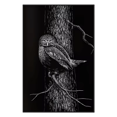 Realistic Black and White Owl Animal Painting Perched on Tree Trunk Artwork 3d model