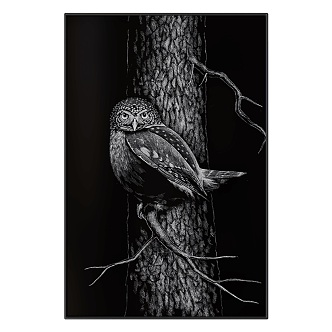 Owl Hanging Painting 18 3d model