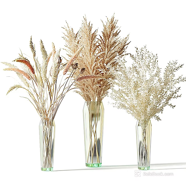 Three Transparent Vases with Dried Pampas Grass Wheat and Reed for Natural Home Decor 3d model 