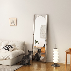 Silent Wind Floor Mirror Sofa Floor Lamp Cat 3d model