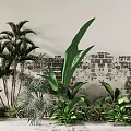 Decorative Plant Combination Featuring Brick Wall Palm Trees Large Leaf Plants And Potted Greenery