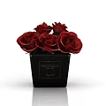 Red Roses Potted In Black COLOVOUK Container As Decorative Indoor Plant
