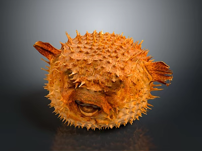 fossil sea urchin paleontology marine organism echinoderm spherical biology 3d model