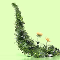 Crescent Shaped Plant Photo Spot With Green Vines Leaves Yellow And White Flowers