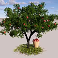 Fruit Bearing Tree With Red Fruits And Basket Under Green Grass And Blue Sky