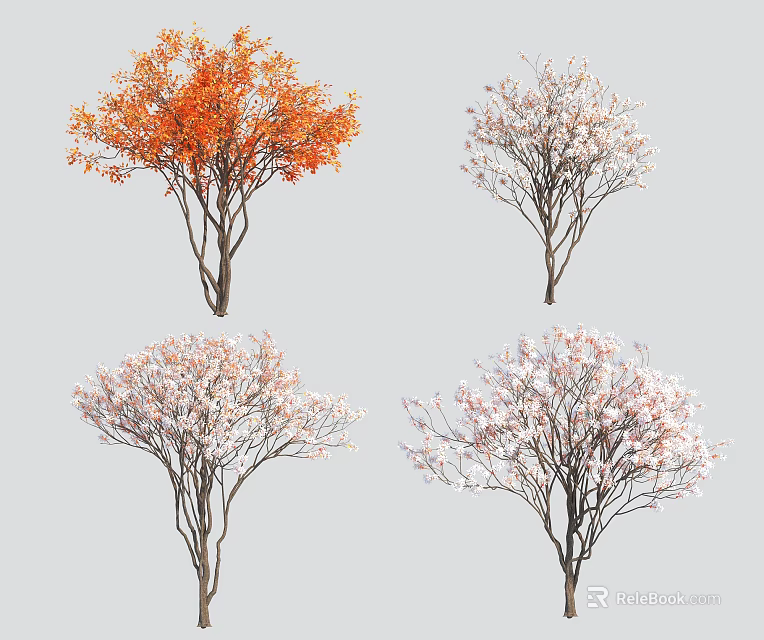 Four Arbor Trees With Orange Foliage And Pink Blossoms In Different Seasons 3d model 