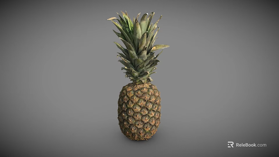 Fresh Ripe Pineapple With Green Leafy Crown On Gray Background 3d model 