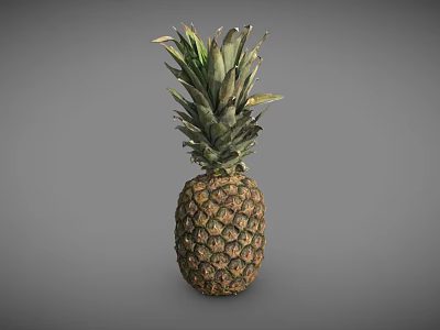 Fresh Ripe Pineapple With Green Leafy Crown On Gray Background 3d model