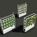 Vertical Farming Agricultural Equipment with Multi Tier Shelves for Growing Fresh Leafy Greens