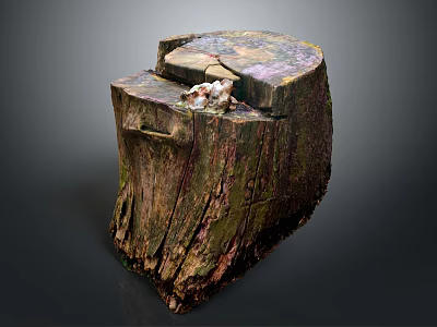 Small Plants Growing On Old Weathered Tree Stump In Natural Environment 3d model