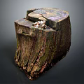 Small Plants Growing On Old Weathered Tree Stump In Natural Environment