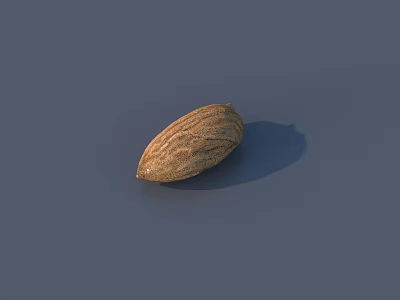 Natural Brown Textured Stone Wood Decorative Object on Blue Surface 3d model