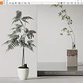 Bonsai Plants Fern and Bamboo in White Pot and Glass Vase with Decorative Base