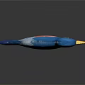 Blue Bird Anatomical Model Showing Detailed Internal Organs Structure For Scientific Education