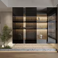 Modern Interior Design Decorative Cabinet With Glass Doors Shelves And Marble Base Plant