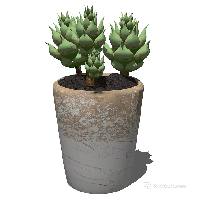 Elegant Potted Bonsai Succulent Plant in Textured Terracotta Pot with Green Fleshy Leaves 3d model 