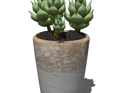Elegant Potted Bonsai Succulent Plant in Textured Terracotta Pot with Green Fleshy Leaves 3d model