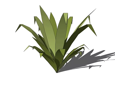 Lush Green Tropical Plant With Long Leaves And Vibrant Foliage For Indoor Spaces 3d model
