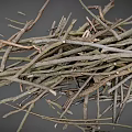 Collection of Various Natural Dry Twigs and Branches on Gray Background
