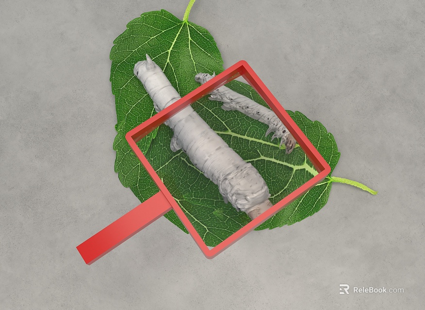 Reptile Juvenile On Green Leaf Observed With Red Magnifying Glass Close Up View 3d model 