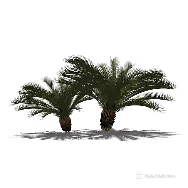 Lush Palm Trees With Green Fronds And Thick Trunks In Natural Scene 3d model 