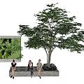 Tree Pit With Large Tree Bench And Three People By Green Plant Wall