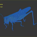Modern grasshopper insect cartoon locust 3d model