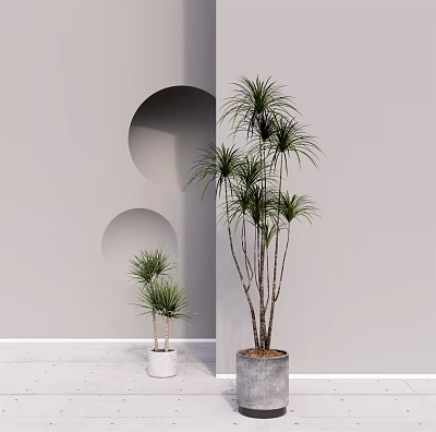 Tall and Short Potted Plants in White Pots Against Gray Wall with Circular Cutouts 3d model