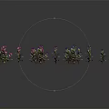 Colorful Decorative Plants With Red Purple Yellow Blue Flowers And Green Leaves