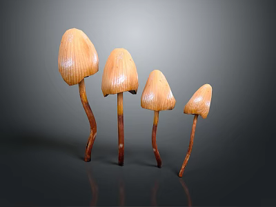 Four Organic Vegetable Mushrooms With Orange Caps And Brown Stems Arranged Neatly 3d model