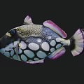Vibrant Tropical Marine Fish With Colorful Patterns White Spots Purple Fins And Yellow Mouth
