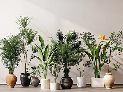 Potted Bonsai Plants with Tropical Greenery and Various Ceramic Pots Against Light Wall 3d model